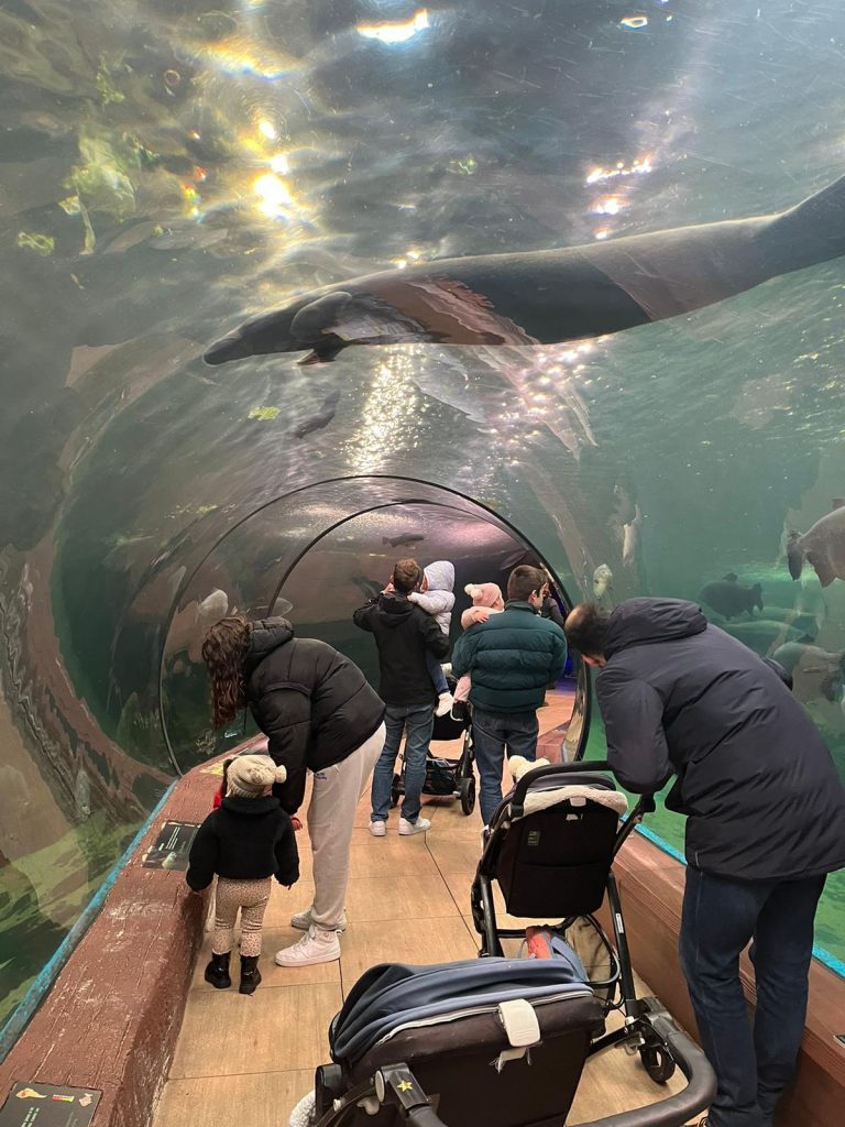 Acción solidaria Compromiso Ampara